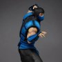 Sub-Zero Ninjas Collection (HEO)